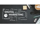 Professional SEO Course in Manali for 2025