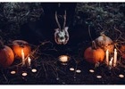 Can Vashikaran Without Money Save My Relationship?