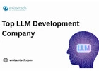 Top LLM Development Company​