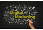 Affordable Digital Marketing Agency in Delhi for Startups and Small Businesses?