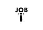 Information Technology Job Opportunities