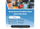 Boost Your Sales with Expert Product Entry Services