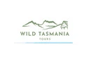 Best Tours from Hobart Tasmania to Explore the Wild