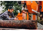 Tree Stump Removal Clark County Trusted Local Yard Services