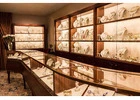 Elegant Jewelry Store in Miami Beach – bachijewels