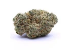 Oshawa Weed Delivery | Grabbakush