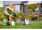 Pest Control Redwood Meadows