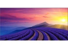 Xiaomi India's 2025 A Series Smart TV - Affordable Prices