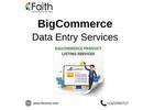 Reliable BigCommerce Data Entry Services for Sellers