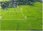 Where to Find Trusted Land Title Services in NSW?
