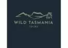 Explore the Best Tasmania 4 Day Itinerary