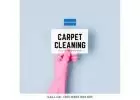 Elevate Your Home: Quality Carpet Cleaning Solutions