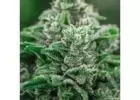 Premier Weed Dispensary & Cannabis | Exotic Dreams
