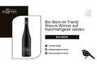Bio Wein im Trend: Warum Winzer auf Nachhaltigkeit setzen