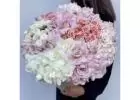New Jersey Same-Day Local Florist Delivey | Marcela Flowers