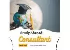 Study Abroad Consultant In Delhi - Get Free Counselling Now!