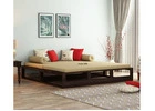 Elegant Sofa Come Bed with Smart Folding Design