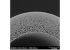 Buy Hollow Fiber Membrane in USA | Oxymotec