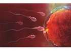 Selecting the Best Fertility Clinic in Dubai