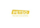 Premium Cat Scratcher & Toy Collection | Petso
