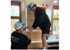 Stress-Free Relocation with TeamworxMoving – Moving Companies Near Me in Washington