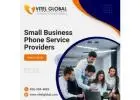 small business phone service providers