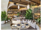 Chill Out at the Best Cafes Orlando