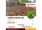 Comprehensive Yard Clean-up Services for a Pristine Outdoor Oasis