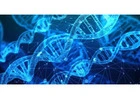 Advanced AP Biology Classes and Test Prep