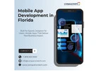 Mobile App Development in Florida | Conquerors Tech