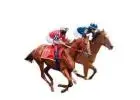 WABO: Your Premier Destination for Online Horse Race Betting and Pokies!