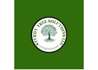 Sturdy Tree Solutions LLC