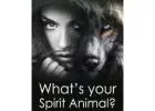 Spiritual Healing Through Animal Wisdom: Seek a Healer Nearby【✚２７７２５７７０３７６】