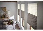 Control Light & Privacy with Motorized Roller Shades