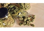 Cannabis Dispensary In BC