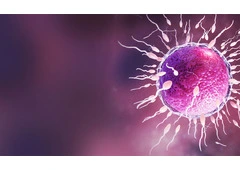 Discovering the Best IVF Clinic in Dubai Discovering the Best IVF Clinic in Dubai