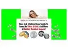 Make Money With SILVER