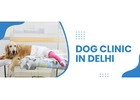 Dog Clinic in Delhi | CGS Hospital