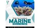 How to Conduct Marine Research in Nusa Penida