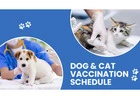 Dog Vaccination Schedule  | CGS Hospital
