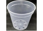 Clear Orchid Pots: Transparent Homes for Healthy Root Growth