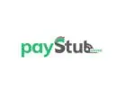 Easy Ways to Make Paycheck Stubs Online