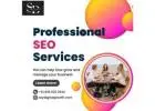 Professional SEO Services | Sky Digital Growth