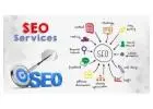 Unlocking Online Success: SeoSpidy's Expert SEO Services