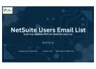 NetSuite ERP Users List