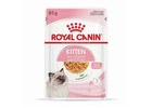 Healthy & Delicious Royal Canin Cat Food