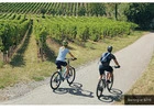 Rent Electric Bikes Near Healdsburg