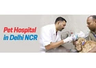 Pet Care In Delhi  | CGS Hospital