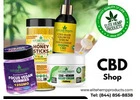 Discover Your Favorite CBD Shop Today