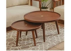 Tarashi Ash Wood Coffee Table Set of 2